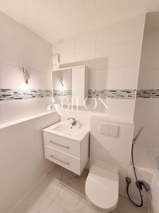 Badezimmer - WC und Waschbecken