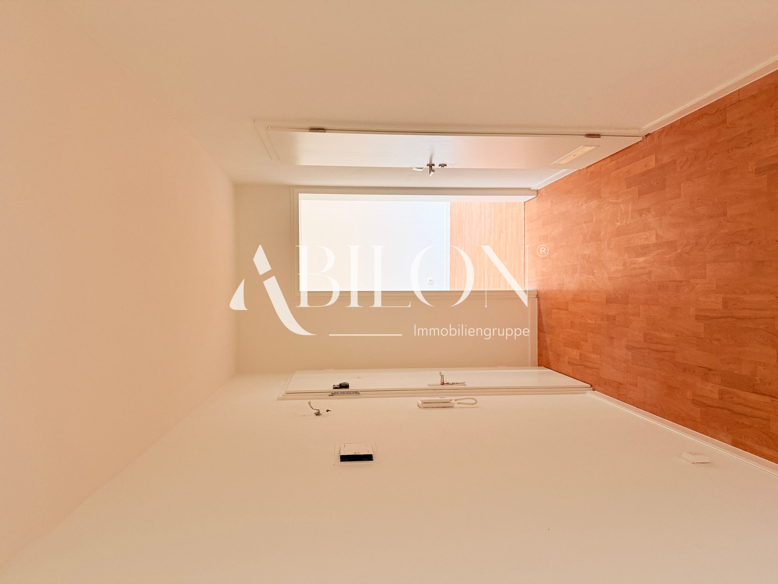 Diele (Ansicht zum Wohnzimmer)