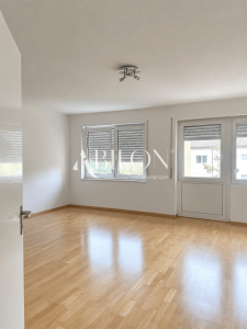 Wohnzimmer leer
